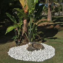 Load image into Gallery viewer, 0.40 cu. ft. 3 in. to 5 in. 30 lbs. Large Egg Rock Caribbean Beach Pebbles
