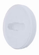 Charlotte Pipe 3-in PVC DWV Male Plug - Schedule 40, NSF Safety Listed - ASTM D 1784, D 2665, D 3311, NSF 14 Compliant