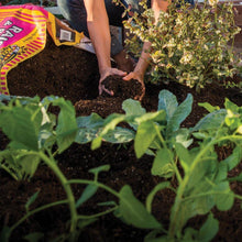 Load image into Gallery viewer, 2 cu. ft. All Natural Raised Bed and Potting Mix Premium Outdoor Container Mix - Denali Building Supply
